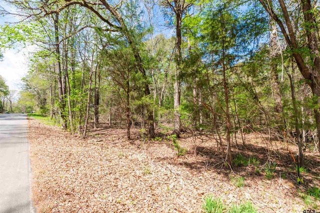 TBD CR 2337, Tyler, TX 75707