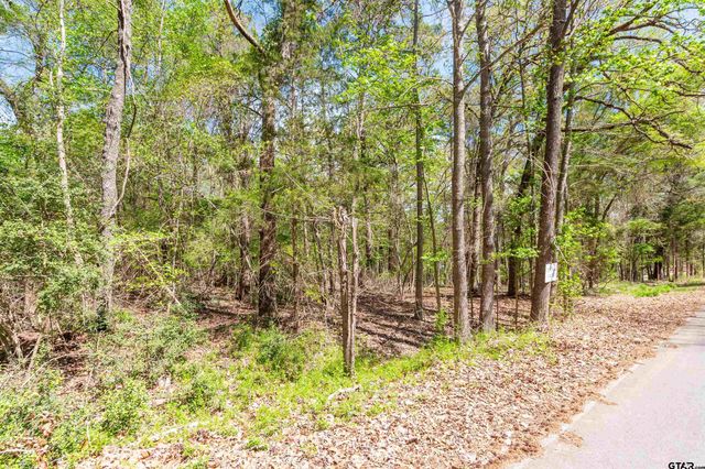 TBD CR 2337, Tyler, TX 75707