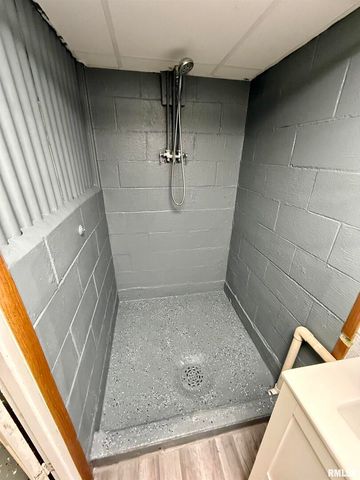 139 N VAIL Street, Geneseo, IL 61254