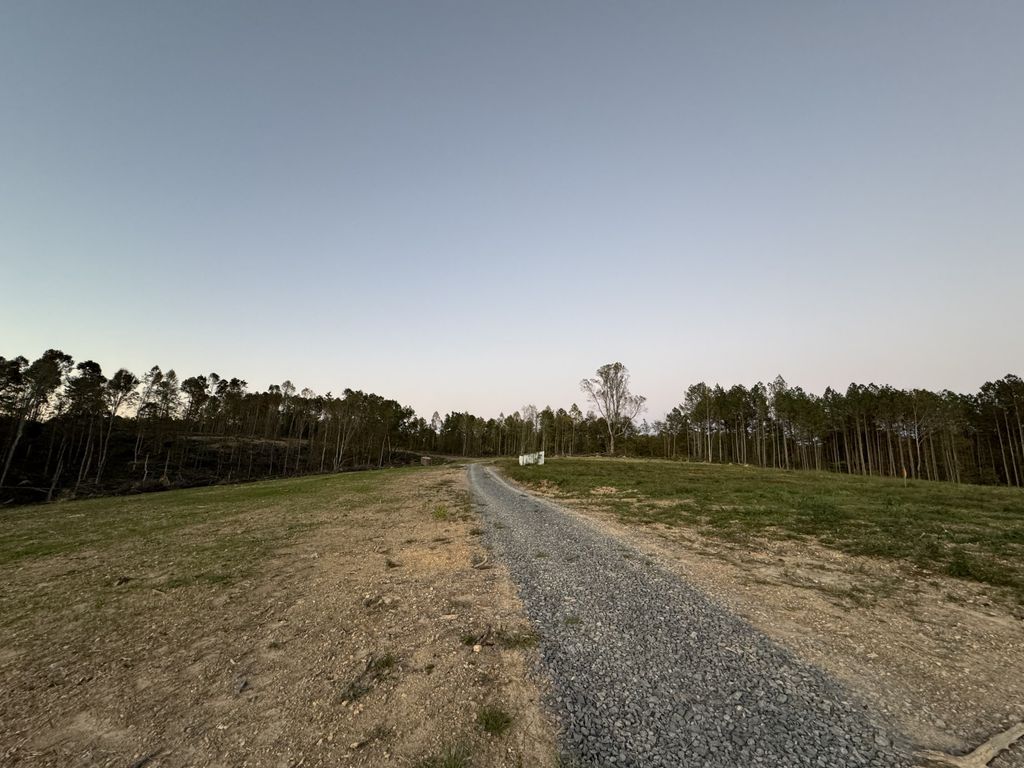 0 Whitson Hollow Rd, Red Boiling Springs, TN 37150