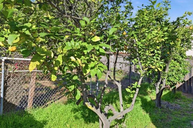 145 Barhaven Lane, Fallbrook, CA 92028