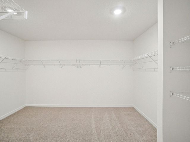 1834 COOLRIDGE PLACE, Zephyrhills, FL 33541