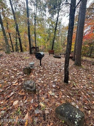 2308 Hidden Mountain Rd, Sevierville, TN 37876