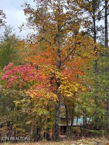 2308 Hidden Mountain Rd, Sevierville, TN 37876