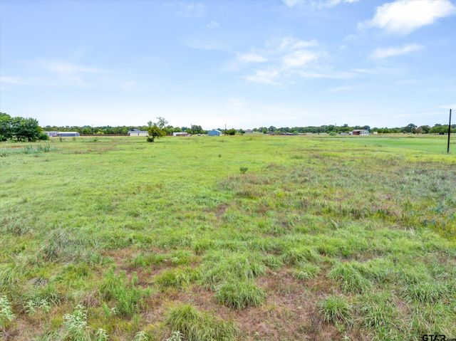 Lot 3R W Cedar PKWY, Kemp, TX 75143