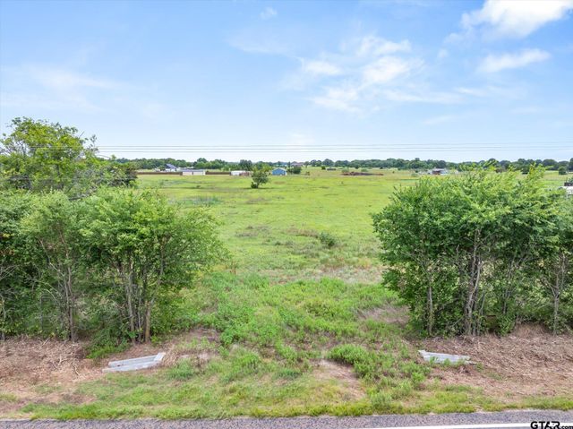 Lot 3R W Cedar PKWY, Kemp, TX 75143
