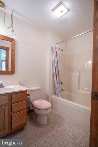 10 LERNER, Basye, VA 22810