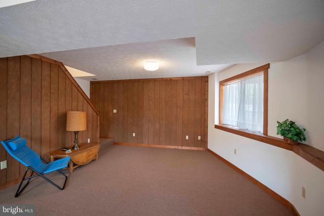 10 LERNER, Basye, VA 22810