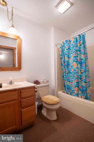 10 LERNER, Basye, VA 22810