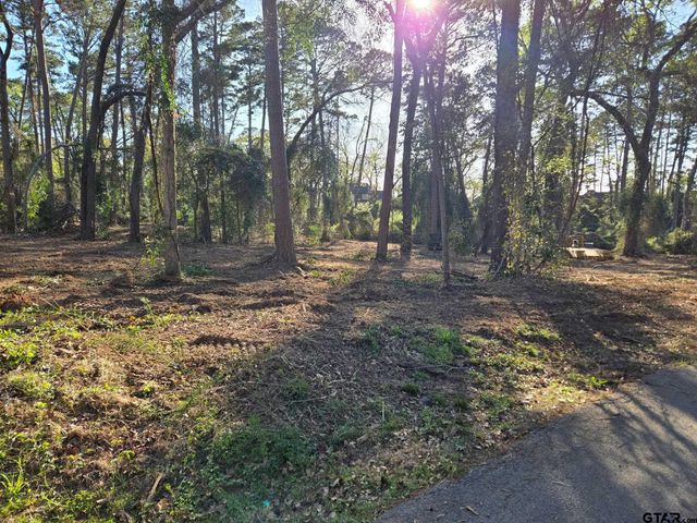 Lot 6 Hickory Lane, Bullard, TX 75757