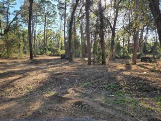 Lot 6 Hickory Lane, Bullard, TX 75757