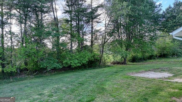 1013 Bradley Road 4, Blairsville, GA 30512