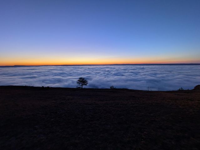 190 Hovering Hawk Drive, Jasper, TN 37347