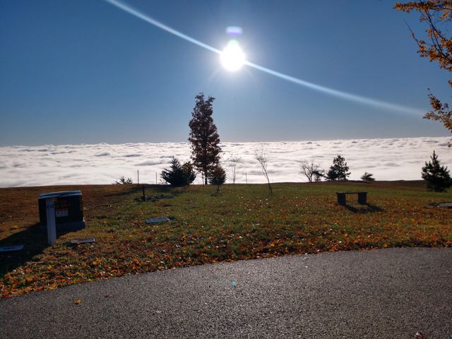 190 Hovering Hawk Drive, Jasper, TN 37347