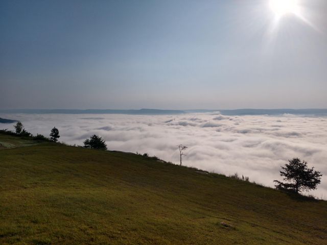 190 Hovering Hawk Drive, Jasper, TN 37347