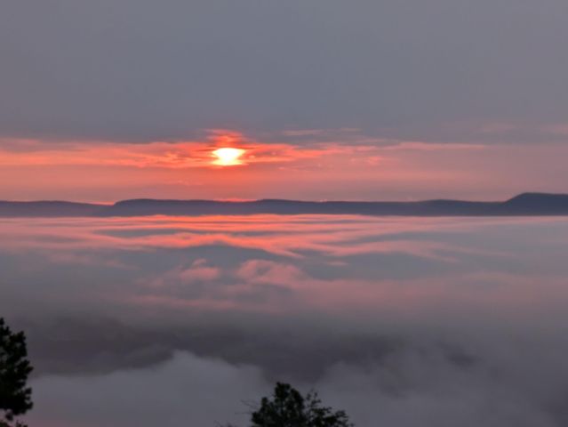 190 Hovering Hawk Drive, Jasper, TN 37347