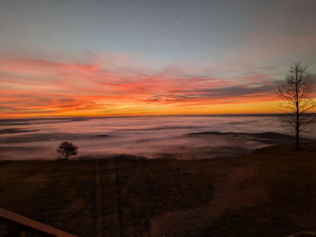 190 Hovering Hawk Drive, Jasper, TN 37347