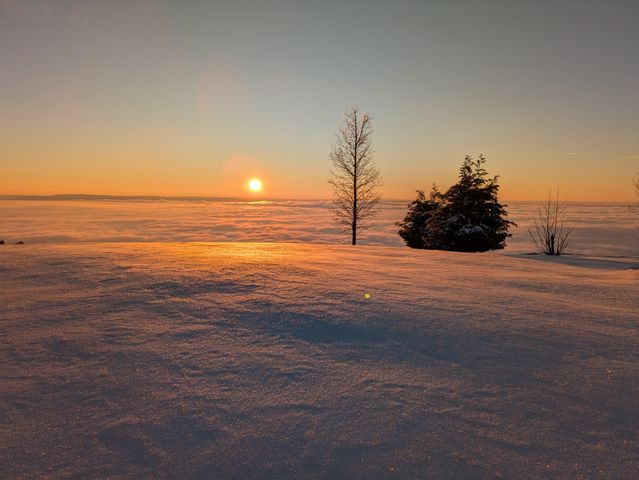 190 Hovering Hawk Drive, Jasper, TN 37347