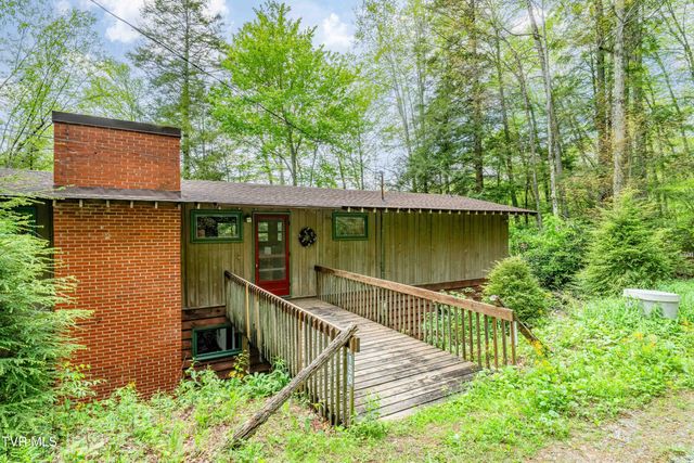 150 Ripshin Lake Road, Roan Mountain, TN 37687
