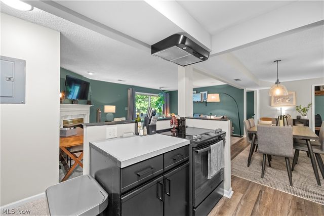 6231 Hidden Creek Drive 232, Lorain, OH 44053