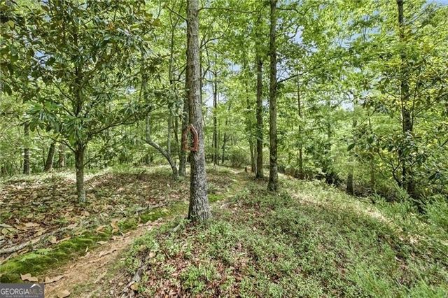 7625 Fish Hook Lane, Lula, GA 30554