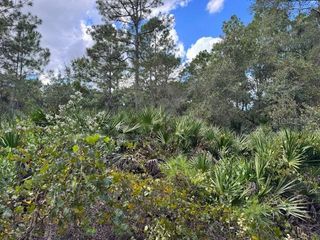 12TH AVENUE, Deland, FL 32724