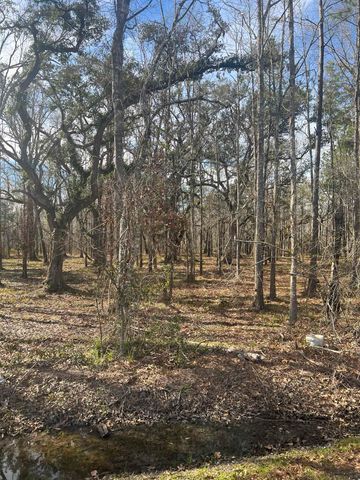 WC-6 Coates Rd, Springfield, LA 70462