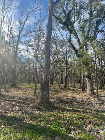 WC-6 Coates Rd, Springfield, LA 70462