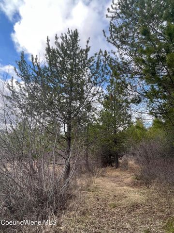 6450 Alder Creek Rd, St. Maries, ID 83861