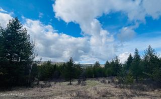 6450 Alder Creek Rd, St. Maries, ID 83861