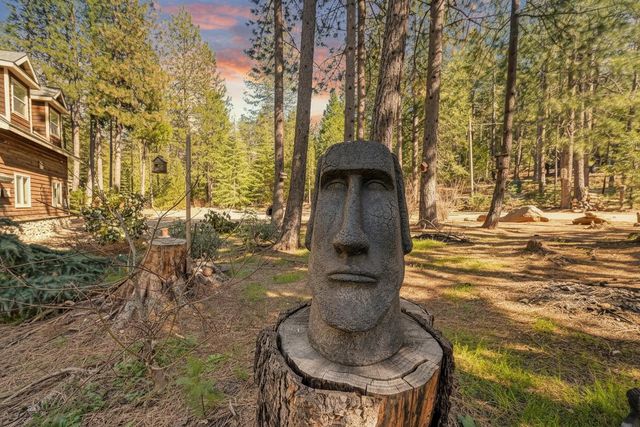 701 Sawmill Rd, Alta, CA 95701