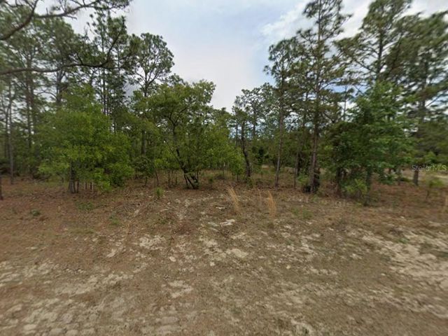 7749 N SANTOS DRIVE, Citrus Springs, FL 34434