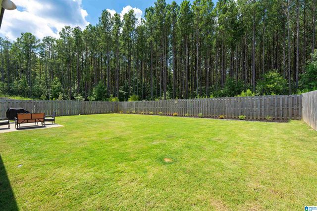 741 FISH CAMP ROAD, Chelsea, AL 35043