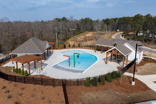 741 FISH CAMP ROAD, Chelsea, AL 35043