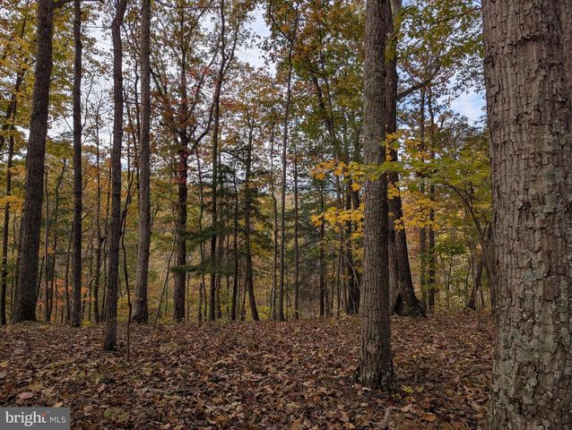 181 BROOK VIEW RD, Front Royal, VA 22630