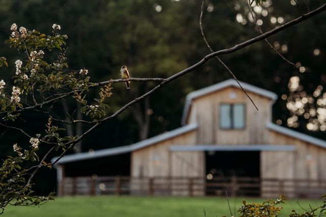 3795 Turnersville Rd, Cedar Hill, TN 37032