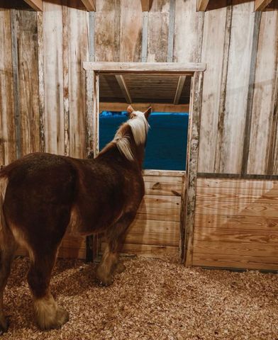 3795 Turnersville Rd, Cedar Hill, TN 37032