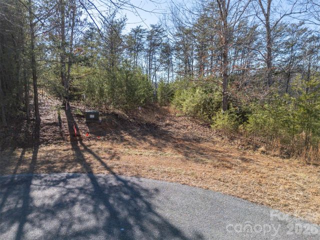 000 Indian Summer Lane 4, Mill Spring, NC 28756