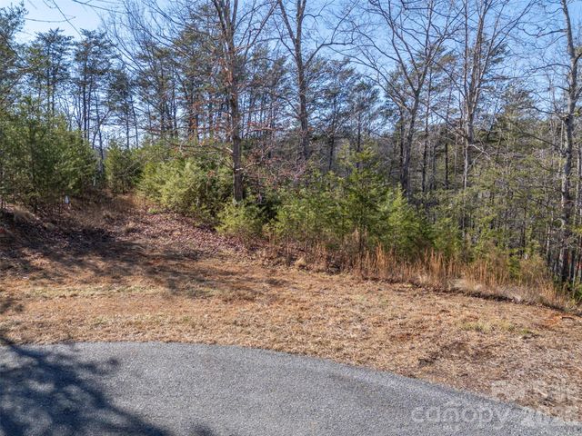 000 Indian Summer Lane 4, Mill Spring, NC 28756