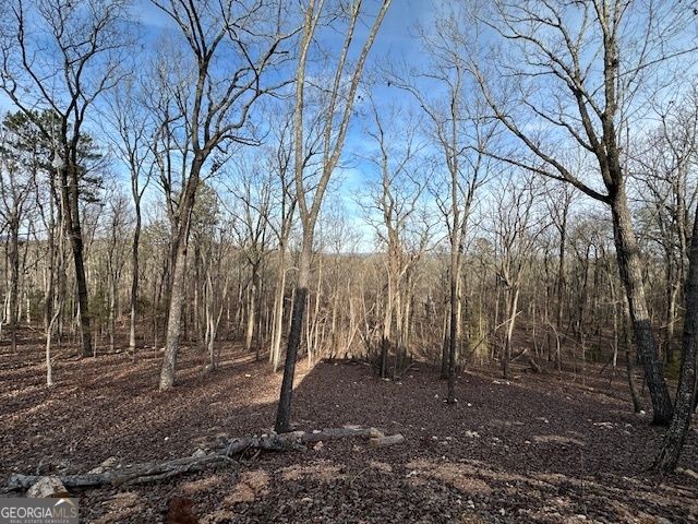 245 Frontier Circle, Summerville, GA 30747