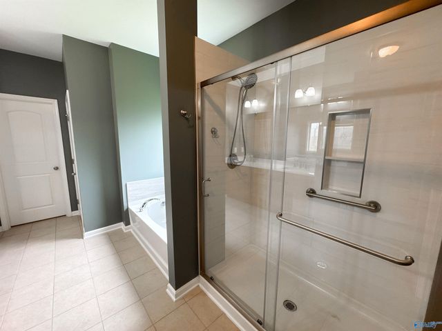 14389 Water Stream Drive, Harvest, AL 35749