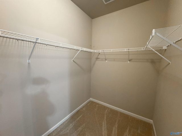 14389 Water Stream Drive, Harvest, AL 35749