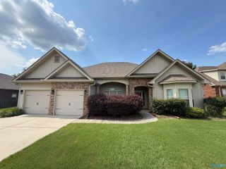 14389 Water Stream Drive, Harvest, AL 35749