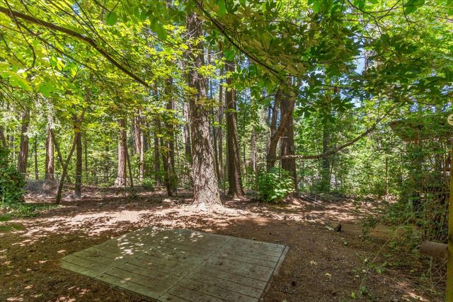 3205 Castlewood Cir, Pollock Pines, CA 95726