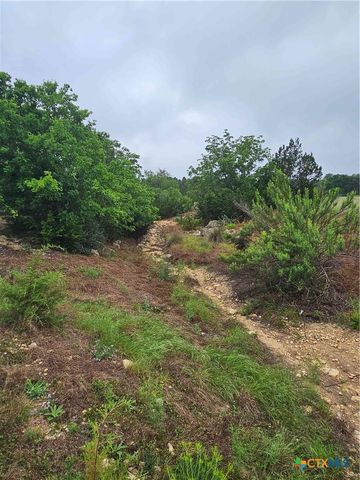 LOT 14 Cielo Springs Drive, Blanco, TX 78606