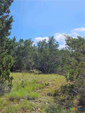 LOT 14 Cielo Springs Drive, Blanco, TX 78606