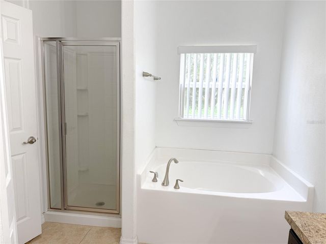 1001 PUGET LANE, Kissimmee, FL 34759