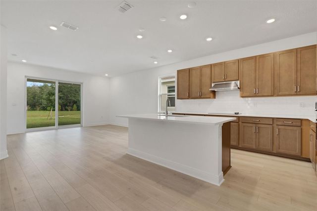748 SUNSHOWER DRIVE, Lady Lake, FL 32159
