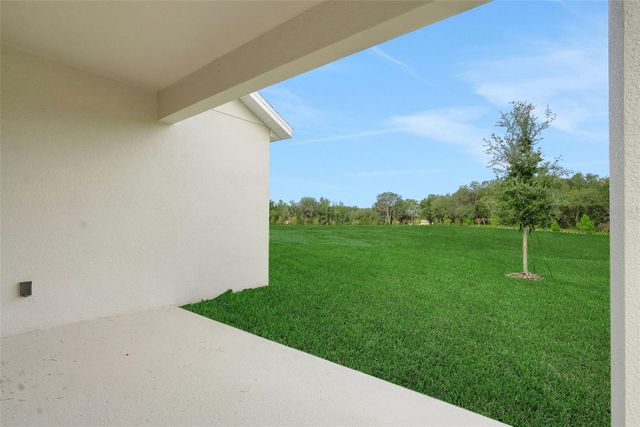 748 SUNSHOWER DRIVE, Lady Lake, FL 32159