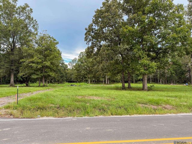 20151 Perrilloux Rd, Livingston, LA 70754